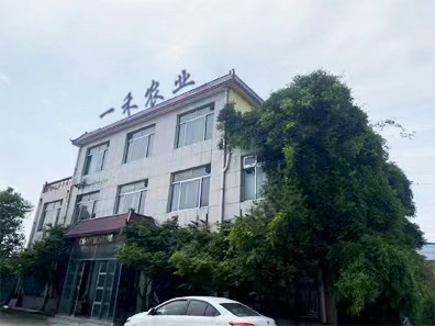 中国 Shandong Yihe Agricultural Technology Co., Ltd. 会社概要