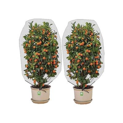 農業 HDPE プラスチック 防虫網 防虫網 覆蓋用 果樹保護 防虫袋 効果的な害虫対策