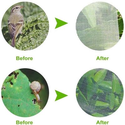 農業 HDPE プラスチック 防虫網 防虫網 覆蓋用 果樹保護 防虫袋 効果的な害虫対策