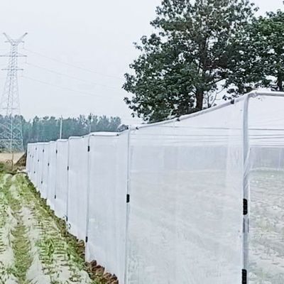 トランスプレント 昆虫駆除網 20×10 農家用 虫虫対策網 遮蔽網 害虫対策網
