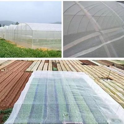 トランスプレント 昆虫駆除網 20×10 農家用 虫虫対策網 遮蔽網 害虫対策網