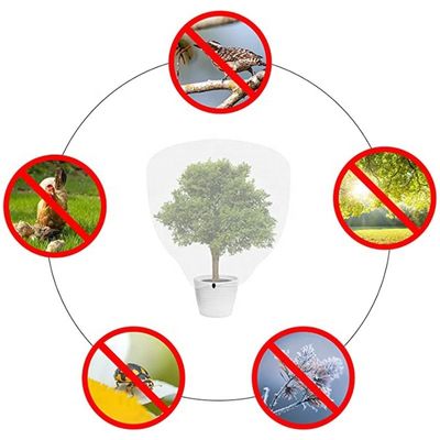 プラスチック型 HDPE 昆虫 鳥 虫 障害 網 引糸 成長 果樹 保護 カバー 網 バッグ 白