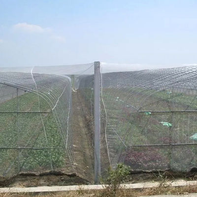 温室網 農業 野菜園用ポリエチレン虫網 HDPE折りたたみ
