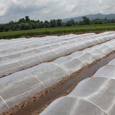 HDPE 紫外線 防止 昆虫 網 苗木 の 果樹 保護 に おける 理想 的 な 解決策