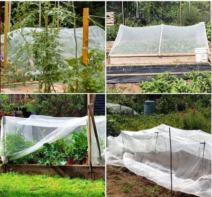 HDPE 紫外線 防止 昆虫 網 苗木 の 果樹 保護 に おける 理想 的 な 解決策