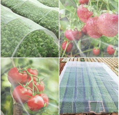 HDPE 紫外線 防止 昆虫 網 苗木 の 果樹 保護 に おける 理想 的 な 解決策