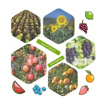 HDPEUVプラスチック網 虫に耐える温室 虫対策網 野菜園 農業