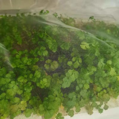 持続可能 40 60 80 メッシュ 防虫スクリーンネット 温室 農業 トマト 保護 防虫 メッシュ 透明 防虫ネット