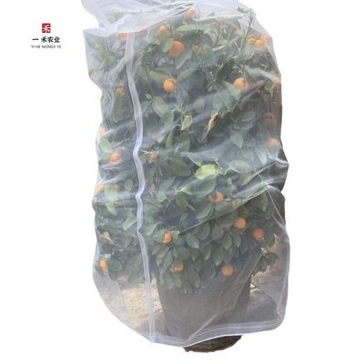 持続可能 40 60 80 メッシュ 防虫スクリーンネット 温室 農業 トマト 保護 防虫 メッシュ 透明 防虫ネット