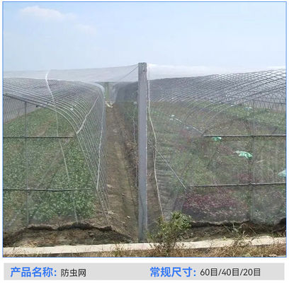 TRAPS 農業用 温室用 虫対策網 長期使用期間