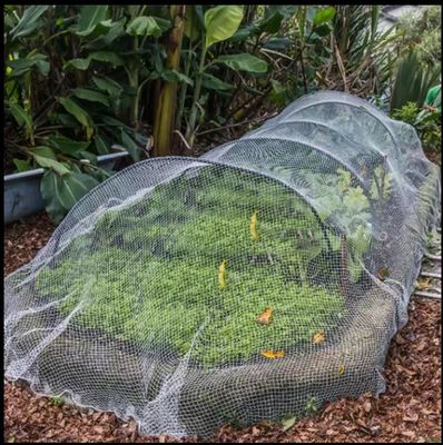40 80 メッシュ 防虫網 温室 農業 トマト 防虫網 透明性 虫巣網 TRAPS