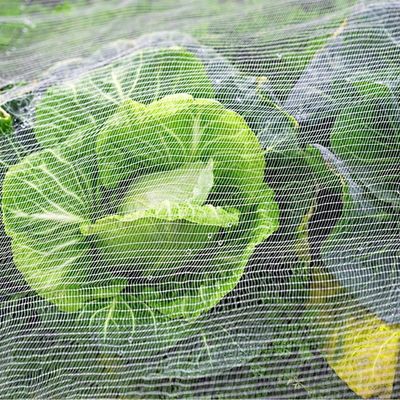 トラップ 植物 の ため の プラスチック ガーデン 網 害 害 害 害 害 害 害 害 害 害 害 害 害 害 害 害 害 害 害 害 害 害 害 害 害 害 害 害 害 害 害 害 害 害 害 害 害 害 害 害 害 害 害 害 害 害 害 害 害 害 害 害 害 害 害 害 害 害 害 害 害 害 害 害 害 害 害 害 害 害 害 害 害 害 害 害 害 害 害 害 害 害 害 害 害 害 害 害 害 害 害 害 害 害 害 害 害 害 害 害 害 害 害 害 害 害 害 害 害 害 害 害 害 害 害 害 害 害 害 害