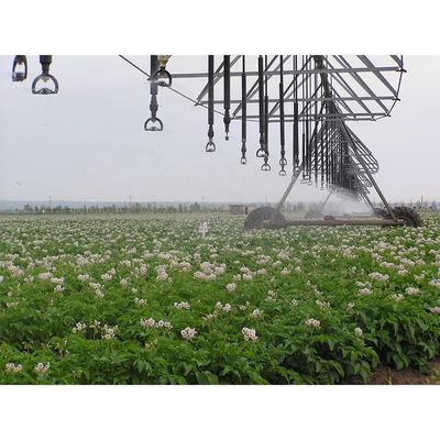 DYP 農業機械 設備 大砲 センター ピボットスプリンクラー 農業灌輸効率の究極の解決策
