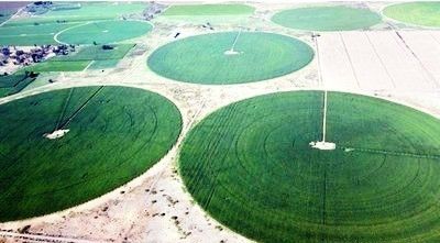 精密に設計されたホームセンターピボット 230KG容量 耐久性と適応性のために設計された 広大な土地の均一な灌輸