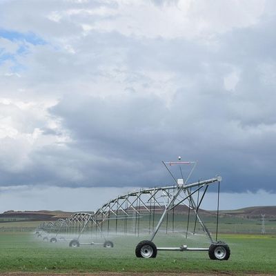 Long-Term Farming Success with Our 30 Inch Diameter Center Pivot System Accurate Water Distribution and Robust Build