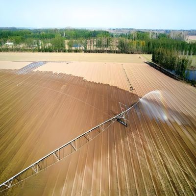 大規模農業 製造工場のための線形横向灌輸システム 小麦ポンプギアコア販売