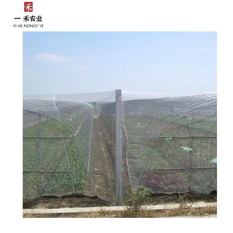PE 農業 樹木や菜園用のポリエチレン虫網 20 虫対策の折り畳み網